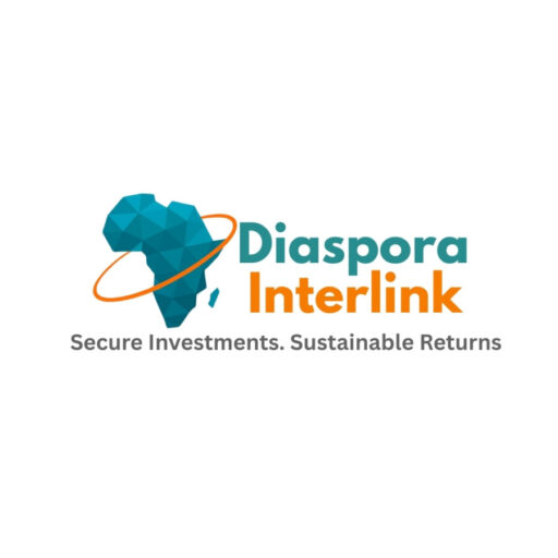 African Women’s Public Service Fellowship | Diaspora Interlink Blog Avatar
